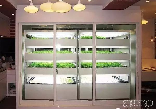 光纖照明，光導照明，植物栽培