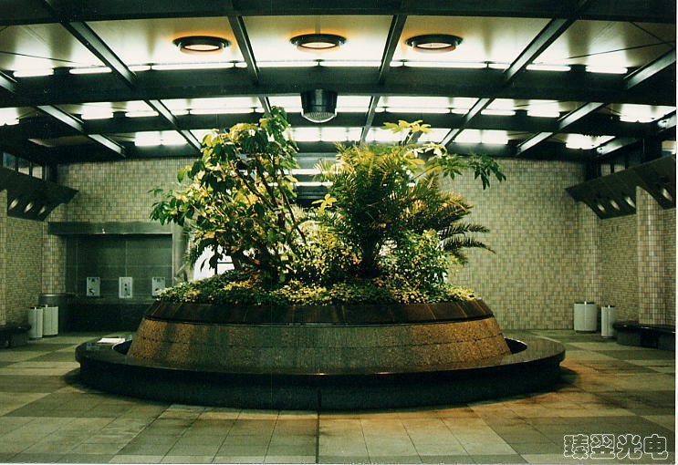 光導照明，光纖照明，室內(nèi)植物照射